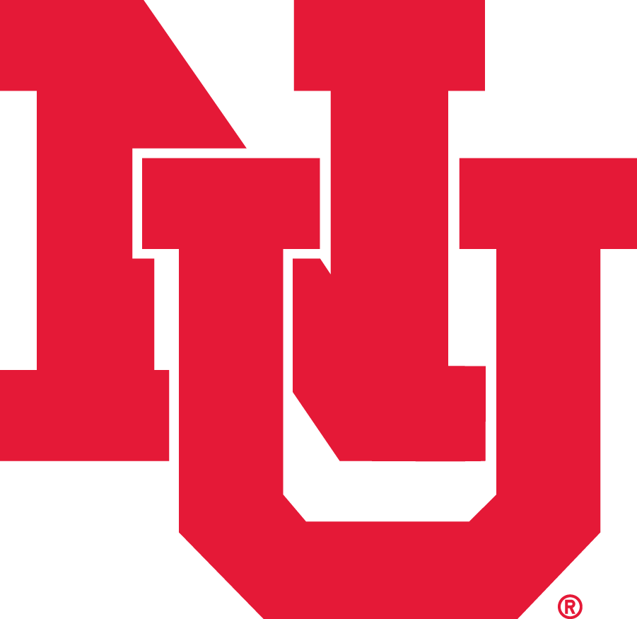 Nebraska Cornhuskers 1956-1969 Primary Logo diy iron on heat transfer